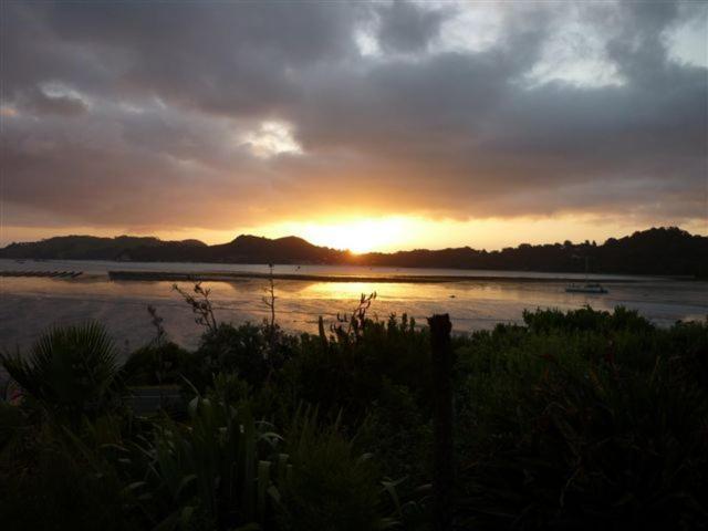 Harbour View Motel Coromandel Exteriör bild