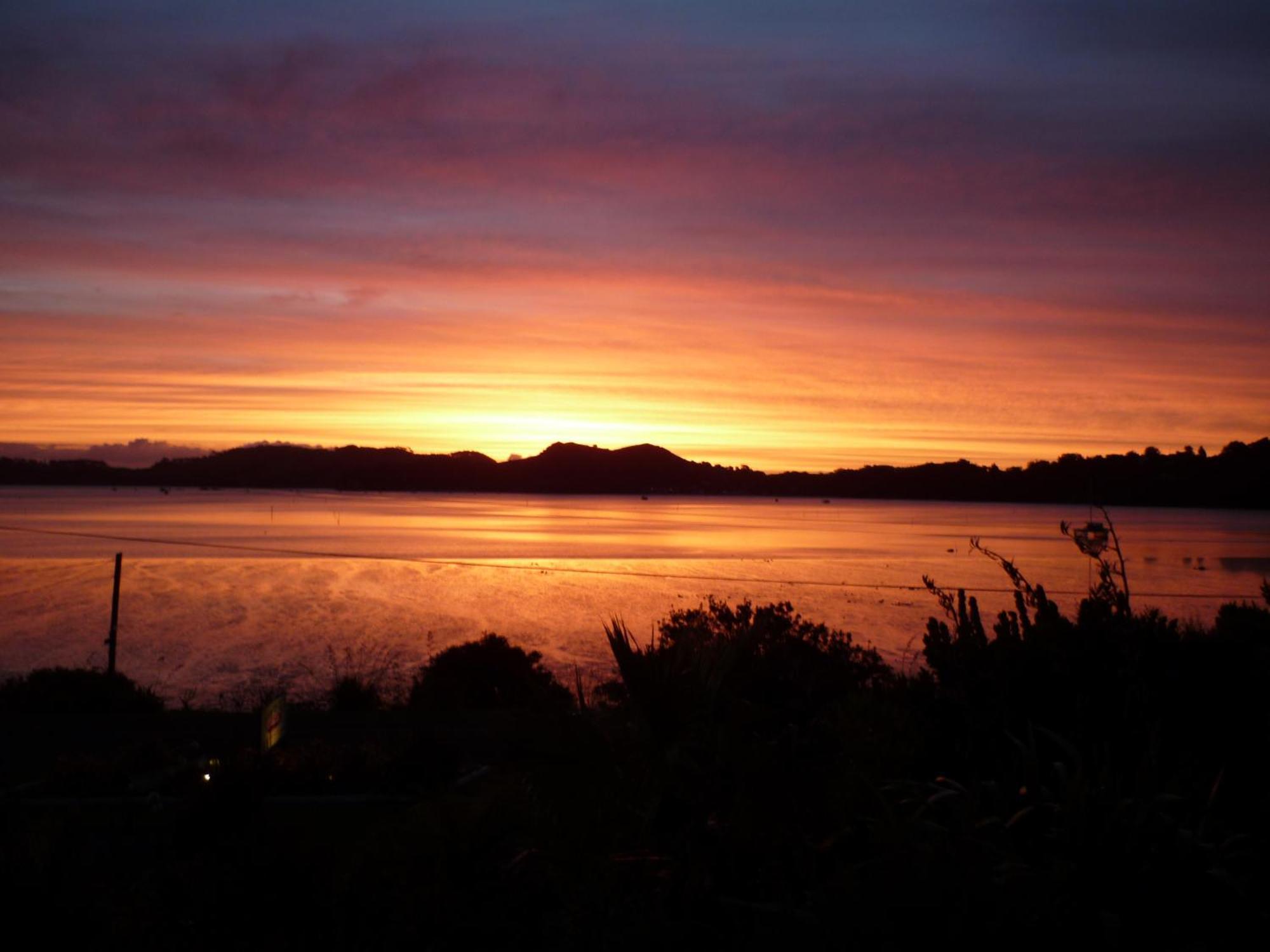 Harbour View Motel Coromandel Exteriör bild