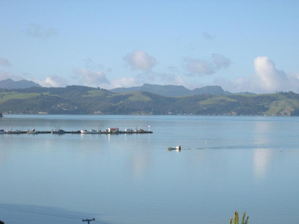 Harbour View Motel Coromandel Exteriör bild